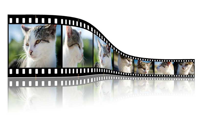 video-sharing
