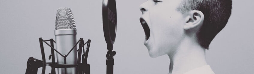 ricerche vocali - Voce