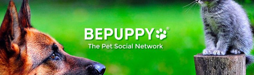bepuppy