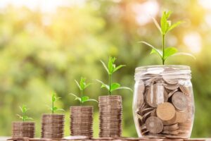 Monetizzare popolarità - Web Crew