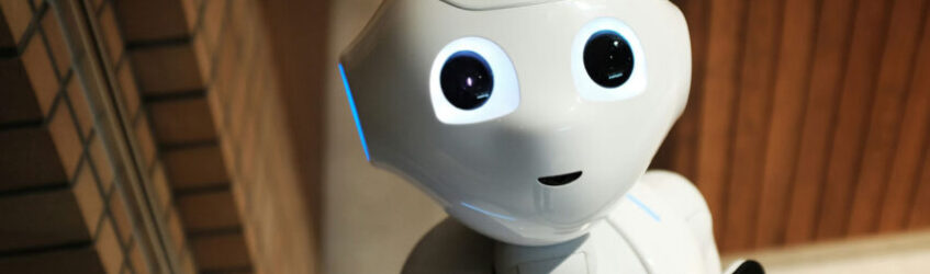 chat bot